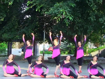 兴梅广场舞《我们的生活充满阳光》教学视频