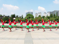 站在草原望北京广场舞 苏州馨缘广场舞 团队正面演示