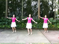 我们的生活充满阳光广场舞 幸福玫瑰广场舞 团队演示
