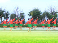 溜溜的姑娘像朵花广场舞 绿洲国际广场舞 团队正面演示