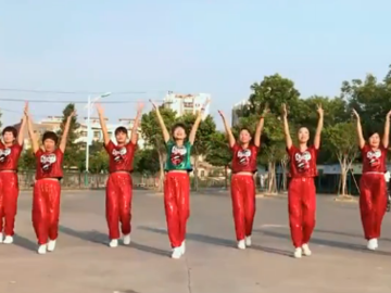 澄海春风广场舞《黄河颂》教学视频