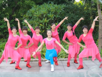 凤凰香香广场舞《最真的梦》教学视频