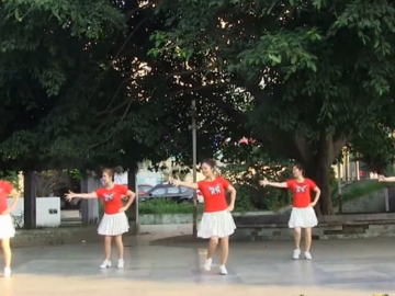 兴梅广场舞《摇起来》教学视频