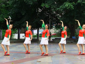 兴梅广场舞《蒙古人》教学视频