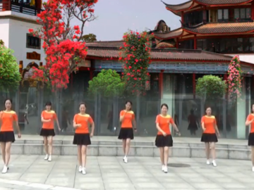 年轻的朋友来相会广场舞 桃花森林广场舞 28步健身舞正面演示