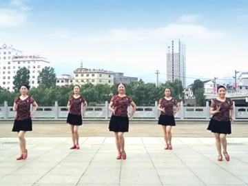 田益珍广场舞《我是你的舞伴》视频