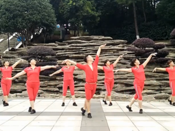 小帅的草原风格广场舞《站在草原望北京》分解教学视频