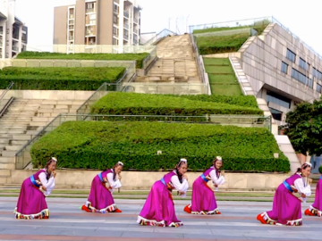卢姨的藏族广场舞《高原恋魂》分解教学视频