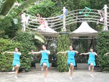深圳山茶的健身操广场舞《大高原》分解教学视频