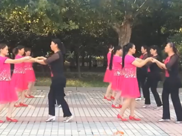 河南华姐的对跳32步广场舞《傻傻的爱傻傻等待》教学视频