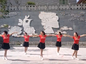 杨光姐妹的广场舞《独爱一枝花》分解教学视频