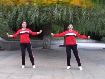 山东清荷的简单鬼步广场舞《纳西三部曲》教学视频
