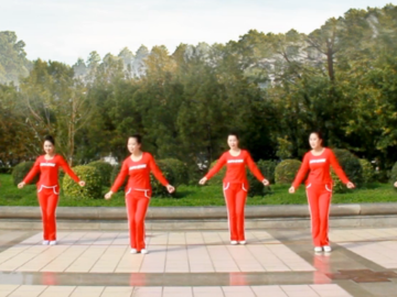 山东莲雨荷的32步广场舞《伤不起》教学视频