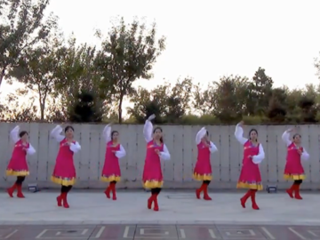 昌黎波波的广场舞《我的爱在草原》教学视频