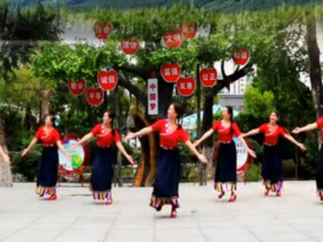 刘荣的藏族风格广场舞《我祝祖国三杯酒》教学视频