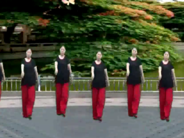武汉萍萍的广场舞《醉美铜钹山》视频