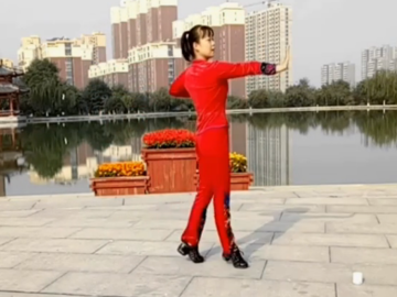 舞妹妹的广场舞《蓝色中国梦》分解教学视频