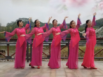 广州飘雪的抒情广场舞《桃花红》教学视频