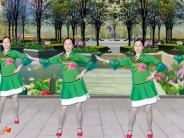 简画的32步广场舞《蝴蝶翩翩飞》教学视频