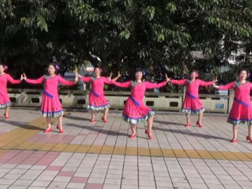 谢春燕的傣族广场舞《泉水边的傣族姑娘》教学视频