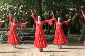 深圳山茶的广场舞《藏爱阁》教学视频