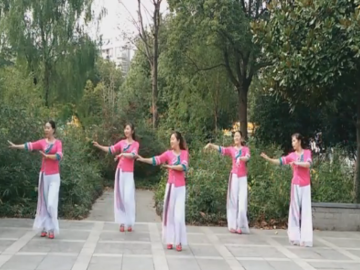 新嘉兴玫瑰的32步抒情广场舞《红尘本是一场戏》教学视频