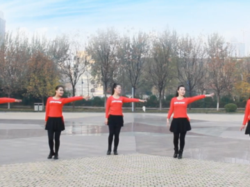 山东莲雨荷的点步广场舞《DJ的歌》教学视频