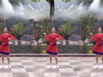 凤凰山庄姐妹花的广场舞《一生最爱的是你》教学视频