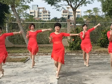 吴川飞燕的拉丁风格广场舞《秋天的风》教学视频