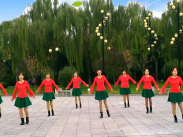 陕西美丽人生的抒情广场舞《草原花》教学视频