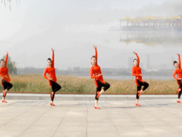 山东莲雨荷的古典广场舞《月满西楼》教学视频