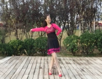 贵州开心抒情的广场舞《好姐妹》教学视频