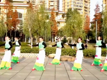 青山青的广场舞《中国草》教学视频