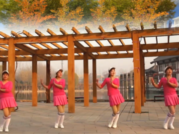 银河湾的现代广场舞《秋天的风》教学视频