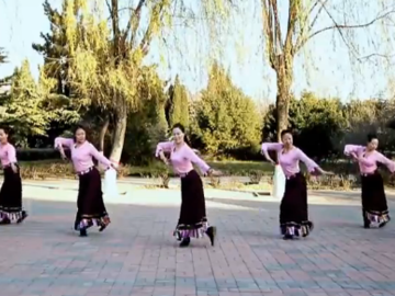 云裳的藏族广场舞《藏家乐》教学视频