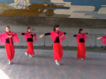 谢春燕广场舞《丹东的姑娘》教学视频