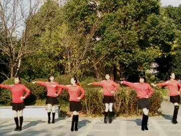 新嘉兴玫瑰的32步水兵广场舞《没有你陪伴我真的好孤单》教学视频