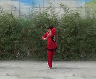 重庆宝娜的广场舞《爱情就像一首歌》教学视频