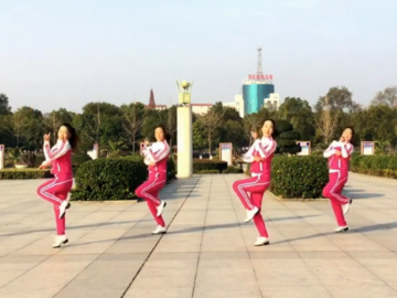 爱吾的32步步子广场舞《爱的太傻》教学视频