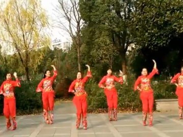 新嘉兴玫瑰的丝巾广场舞《红红的日子》教学视频