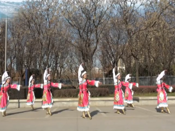 添美的藏族广场舞《玛吉阿米》教学视频