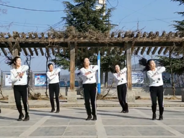 杨光姐妹的广场舞《冷酷到底》教学视频