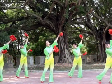 深圳山茶的手绢广场舞《开心每一天》教学视频