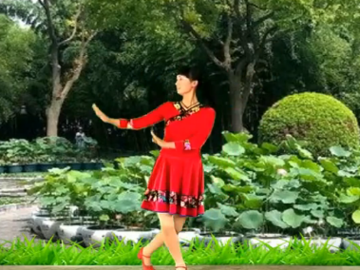禹雯的广场舞《红尘痴笑一场梦》教学视频
