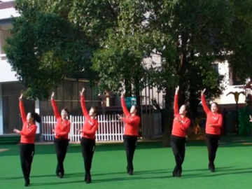 湖南紫玫瑰的广场舞《欢聚一堂》教学视频