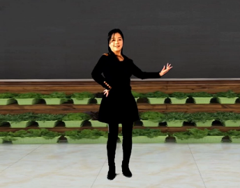 山上之光的32步广场舞《别把寂寞当缘分》教学视频
