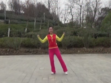 安徽合肥开心的广场舞《美丽中国唱起来》教学视频