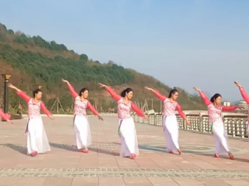 燕语芳菲的抒情广场舞《风雨醉情缘》教学视频