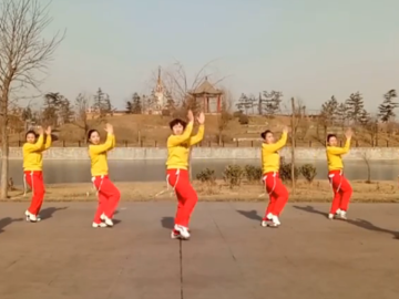 hehe+的广场舞《火一样的情歌》教学视频