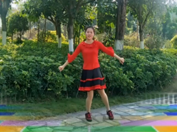 快乐美凤的广场舞《动感节奏》教学视频